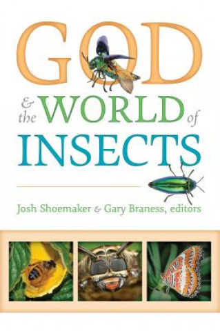 God & the World of Insects