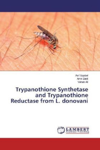 Trypanothione Synthetase and Trypanothione Reductase from L. donovani