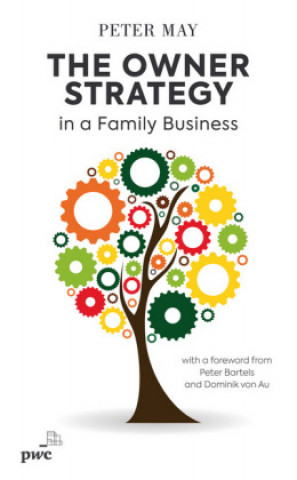 The Owner Strategy in a Family Business