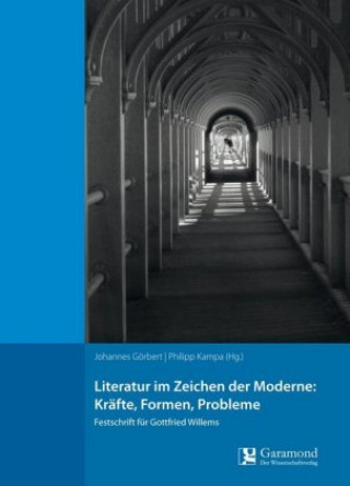Literatur im Zeichen der Moderne: Kräfte, Forman, Probleme