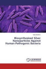 Biosynthesized Silver Nanoparticles Against Human Pathogenic Bacteria