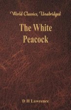White Peacock