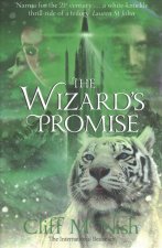 Wizard's Promise