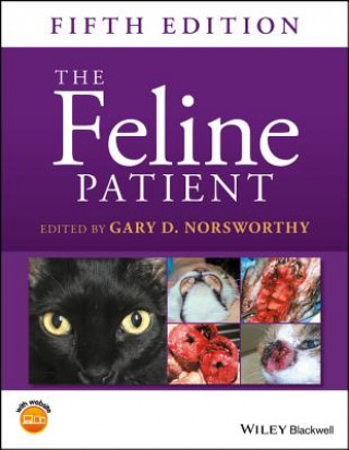 Feline Patient