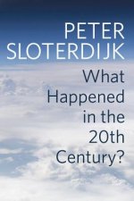 What Happened in the Twentieth Century?: Towards a  Critique of Extremist Reason