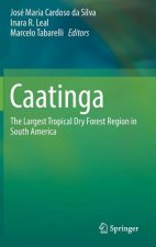 Caatinga