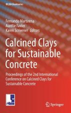 Calcined Clays for Sustainable Concrete