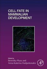 Cell Fate in Mammalian Development