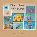 Flash Goes on a Picnic