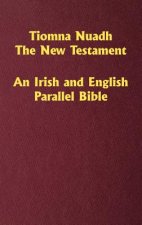 Tiomna Nuadh, The New Testament