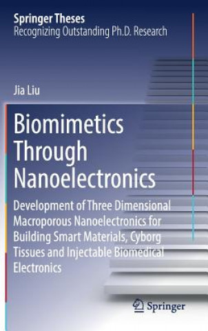 Biomimetics Through Nanoelectronics