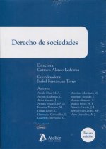 DERECHO DE SOCIEDADES 2017