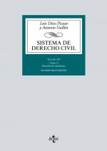 Sistema de Derecho Civil: Volumen IV (Tomo 2) Derecho de sucesiones