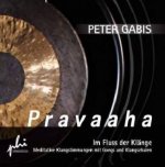 Pravaaha, Audio-CD