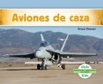 Aviones de Caza (Military Fighter Aircraft)
