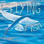 Flying Fish