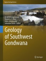Geology of Southwest Gondwana