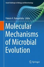 Molecular Mechanisms of Microbial Evolution