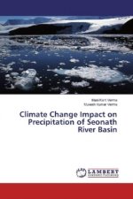 Climate Change Impact on Precipitation of Seonath River Basin