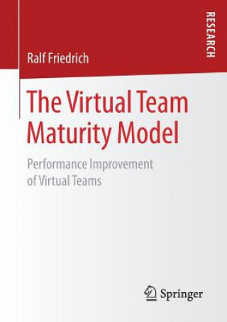 Virtual Team Maturity Model