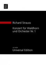 Konzert für Waldhorn und Orchester Nr. 1