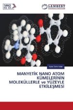 MANYETIK NANO ATOM KÜMELERININ MOLEKÜLLERLE ve YÜZEYLE ETKILESMES