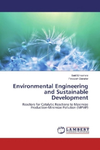 Environmental Engineering and Sustainable Development
