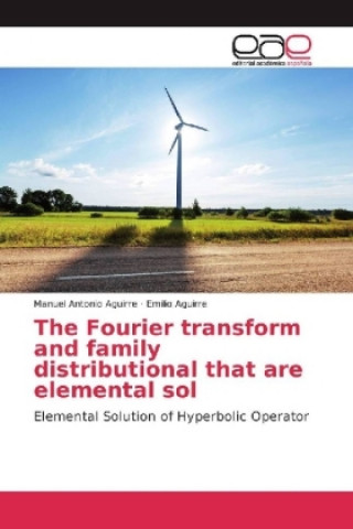 The Fourier transform and family distributional that are elemental sol