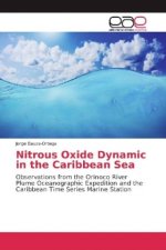 Nitrous Oxide Dynamic in the Caribbean Sea