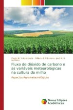 Fluxo de dioxido de carbono e as variaveis meteorologicas na cultura do milho