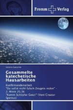 Gesammelte katechetische Hausarbeiten