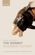 Donkey in Human History