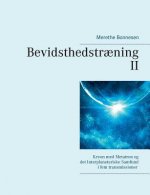 Bevidsthedstraening II