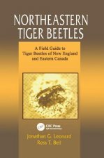 Northeastern Tiger Beetles
