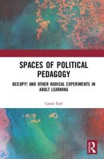 Spaces of Political Pedagogy