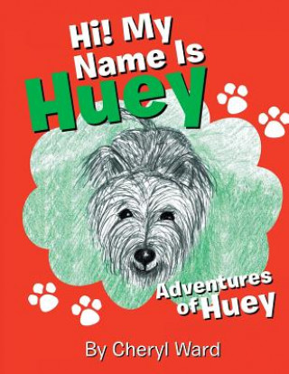 Hi! My Name Is Huey