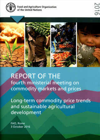 Report of the fourth ministerial meeting on commodity markets and prices