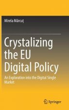 Crystalizing the EU Digital Policy