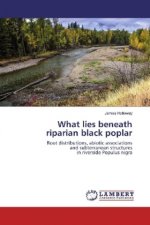 What lies beneath riparian black poplar