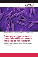 Bandeo cromosómico para identificar áreas metiladas en cáncer