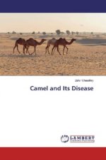 Camel and Its Disease
