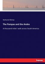Pampas and the Andes