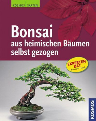 Bonsai aus heimischen Bäumen selbst gezogen