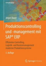 Produktionscontrolling und -management mit SAP(R) ERP