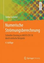 Numerische Stromungsberechnung