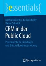 Crm in Der Public Cloud