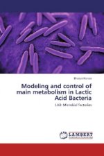 Modeling and control of main metabolism in Lactic Acid Bacteria