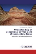 Understanding of Depositional Environment of Sedimentary Basins