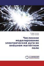 Chislennoe modelirovanie jelektricheskoj dugi vo vneshnem magnitnom pole