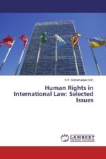 Human Rights in International Law: Selected Issues